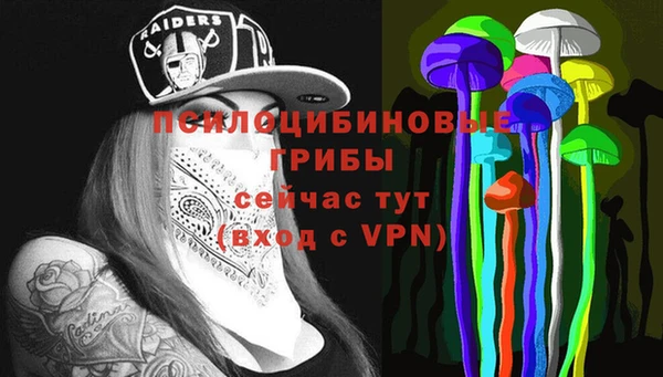 молекула духа Аркадак