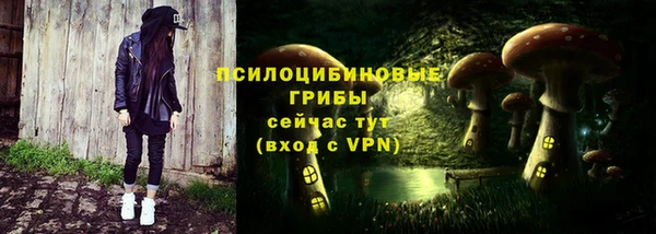 МДПВ Арсеньев