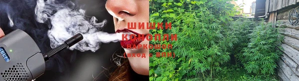 молекула духа Аркадак