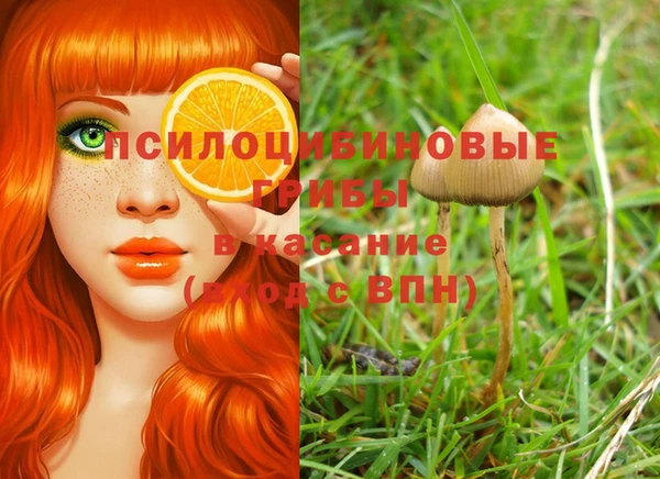 ешки Армянск