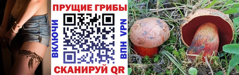 Галлюциногенные грибы Magic Shrooms  купить закладку  Ухта 